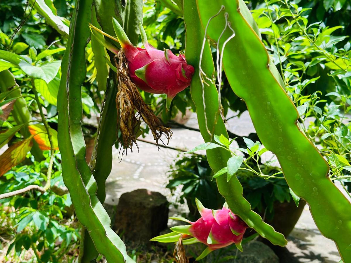 Do River Homestay Hoi An Exterior foto