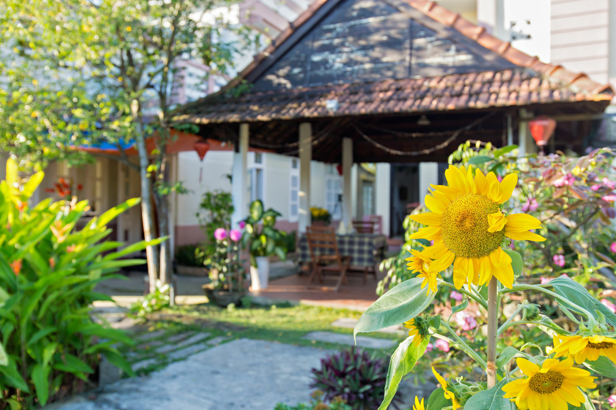 Do River Homestay Hoi An Exterior foto